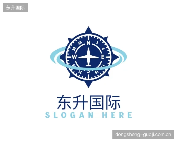 解读东升国际